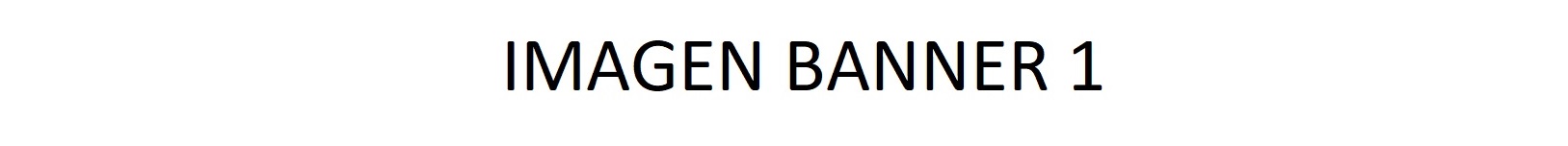 Banner Sony